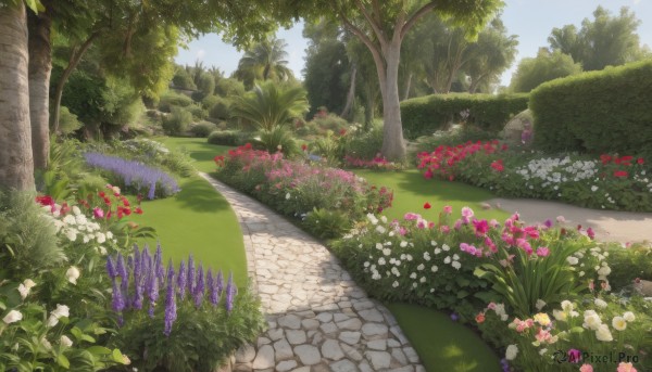 A garden in a dynamic day