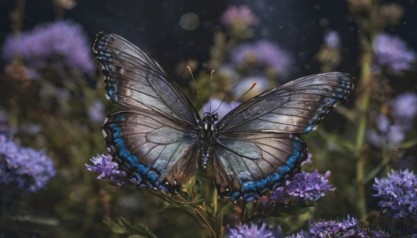 The majestic beauty of a butterfly set within a ethereal outdoors