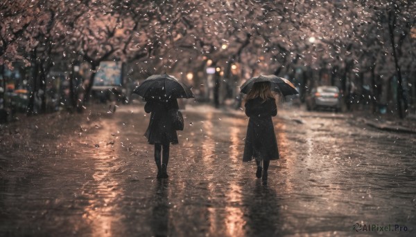 long hair, multiple girls, brown hair, holding, 2girls, standing, outdoors, from behind, blurry, tree, coat, petals, night, umbrella, cherry blossoms, ground vehicle, scenery, motor vehicle, reflection, rain, holding umbrella, car, road, dark, transparent, street, transparent umbrella, crosswalk