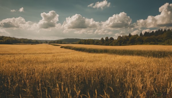 A landscape showcased in a tranquil day