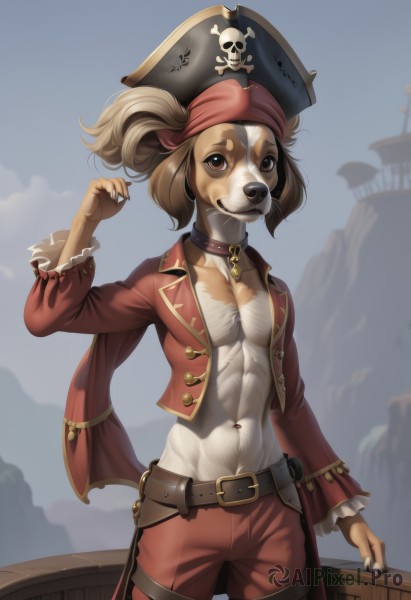 1girl,solo,looking at viewer,brown hair,hat,navel,brown eyes,jacket,outdoors,open clothes,sky,belt,pants,collar,no humans,piercing,furry,watercraft,navel piercing,ship,pirate hat,pirate,skull and crossbones,short hair,cloud,abs,furry female,furry male