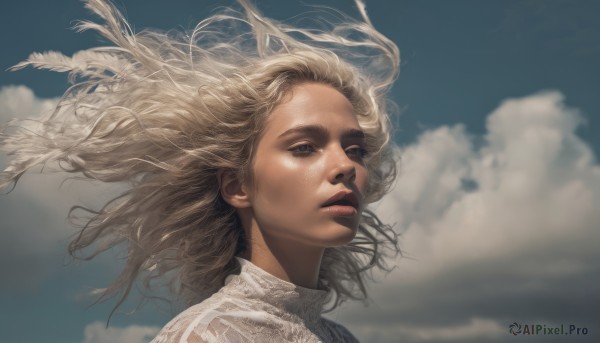 1girl, solo, long hair, blonde hair, outdoors, sky, day, cloud, blue sky, lips, floating hair, cloudy sky, feathers, wind, portrait, realistic, nose, looking afar