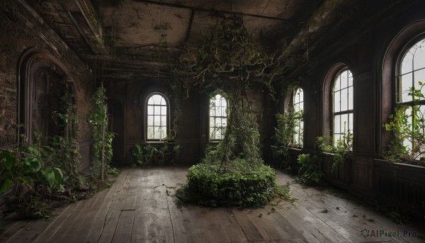 day,indoors,no humans,window,sunlight,plant,scenery,wooden floor,door,ruins,vines,moss,overgrown,broken window