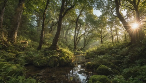 A vivid day showcasing a landscape