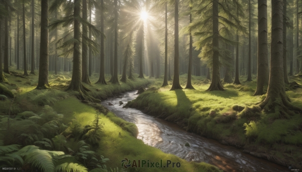 outdoors,day,artist name,signature,water,tree,no humans,watermark,sunlight,grass,plant,nature,scenery,forest,light rays,rock,bush,sunbeam,river,path,stream,bird,leaf,road,landscape