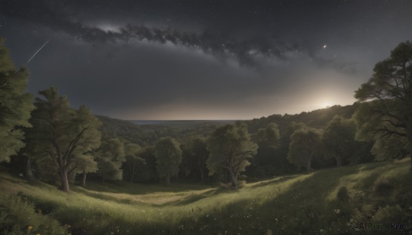 The elegance of a landscape in a ethereal sunset outdoors