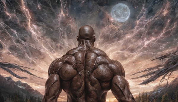 solo,1boy,upper body,male focus,outdoors,sky,cloud,dark skin,from behind,tree,muscular,night,moon,dark-skinned male,cloudy sky,muscular male,star (sky),nature,night sky,scenery,full moon,starry sky,veins,realistic,bald,manly,lightning,back,topless male,fantasy,electricity,facing away