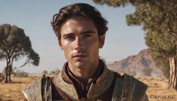 solo,looking at viewer,short hair,blue eyes,brown hair,black hair,1boy,closed mouth,upper body,male focus,outdoors,sky,day,armor,blurry,black eyes,tree,lips,blurry background,portrait,nature,mountain,realistic,desert,chainmail,brown eyes,blue sky,depth of field,shoulder armor,pauldrons,hyur