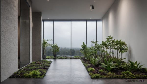 A indoors framed by the beauty of a lush day