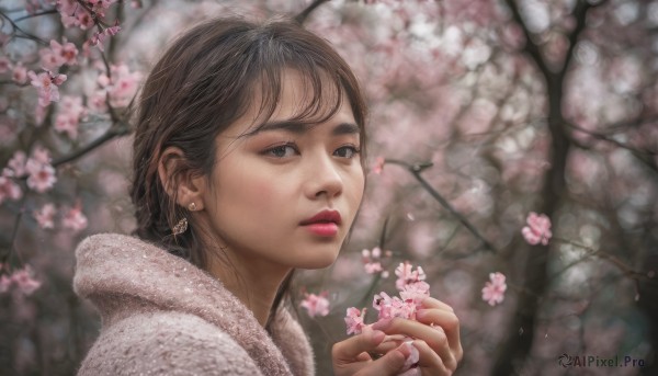 1girl, solo, looking at viewer, short hair, brown hair, holding, jewelry, upper body, flower, earrings, tree, lips, cherry blossoms, realistic, nose, branch