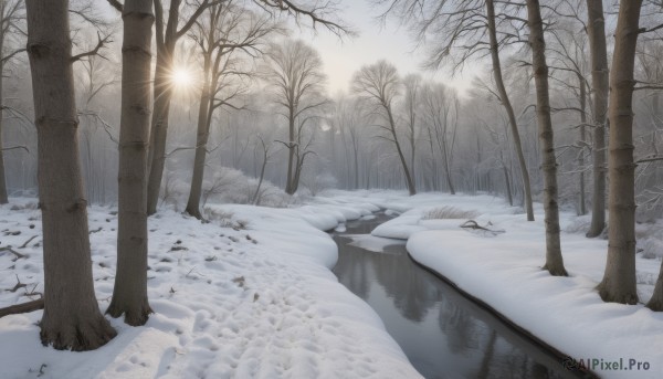 monochrome,outdoors,sky,tree,no humans,nature,scenery,snow,forest,reflection,road,winter,lamppost,bare tree,sunlight,ice,sun,landscape,footprints