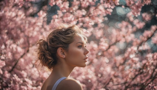 A female surrounded by a lush cherry blossoms