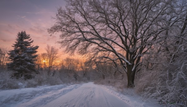A glimpse of a landscape in a lush snowy outdoors