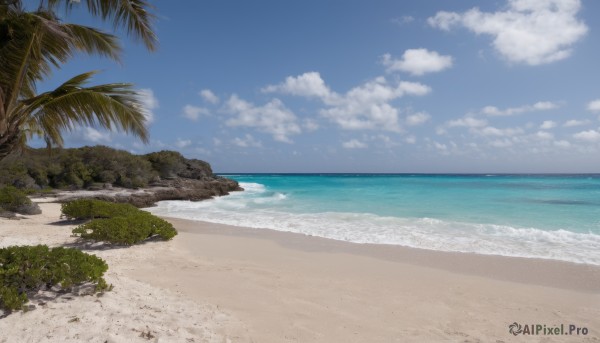 outdoors,sky,day,cloud,water,tree,blue sky,no humans,ocean,beach,cloudy sky,nature,scenery,rock,sand,palm tree,horizon,summer,waves,shore,plant,island