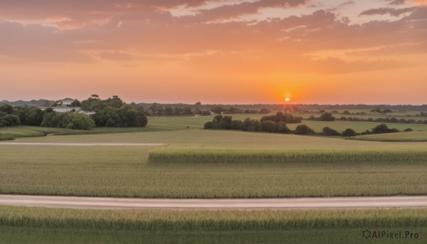 The elegance of a landscape in a idyllic sunset outdoors