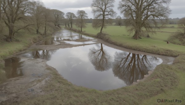 outdoors,sky,day,cloud,water,tree,no humans,grass,nature,scenery,forest,reflection,rock,mountain,road,bare tree,river,landscape,lake,fog,cloudy sky,reflective water