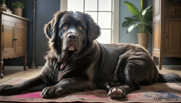 A dog in the heart of a majestic day