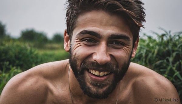 solo,looking at viewer,smile,short hair,brown hair,black hair,1boy,brown eyes,jewelry,male focus,nude,outdoors,teeth,day,necklace,grin,blurry,black eyes,blurry background,facial hair,thick eyebrows,portrait,beard,topless male,mature male,realistic,mustache,chest hair,upper body,grass,close-up,meme