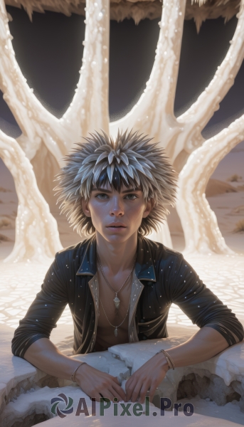 1girl,solo,looking at viewer,short hair,blue eyes,shirt,1boy,jewelry,jacket,upper body,male focus,parted lips,open clothes,necklace,bracelet,tree,lips,spiked hair,realistic,leather,black hair,brown eyes,white hair