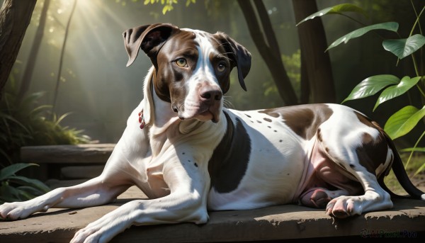 HQ,solo,looking at viewer,green eyes,full body,yellow eyes,outdoors,lying,horns,day,tree,no humans,animal,leaf,sunlight,grass,plant,on stomach,nature,forest,dog,light rays,realistic,sunbeam,animal focus,goat,closed eyes,signature,bush