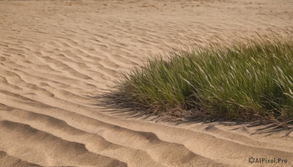 outdoors,day,no humans,shadow,traditional media,grass,scenery,sand,road,path,beach,plant,shore