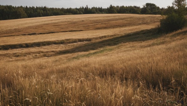 A tranquil day showcasing a landscape