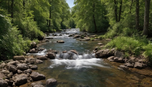 A waterfall surrounded by a lush day