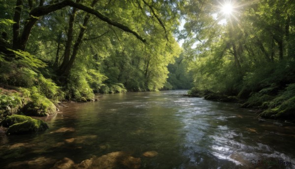 outdoors,sky,day,water,tree,no humans,sunlight,grass,nature,scenery,forest,light rays,rock,sun,road,sunbeam,river,landscape,path,stream,plant