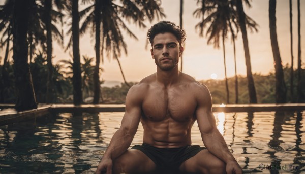 solo,looking at viewer,short hair,black hair,1boy,navel,sitting,nipples,male focus,outdoors,shorts,dark skin,spread legs,water,blurry,tree,muscular,blurry background,facial hair,abs,dark-skinned male,pectorals,muscular male,bara,beard,large pectorals,veins,topless male,sunset,mature male,realistic,palm tree,pool,manly,chest hair,male swimwear,navel hair,swim trunks,leg hair,arm hair,black male underwear,closed mouth,underwear,sky,scar,scar on face,reflection,male underwear,hairy