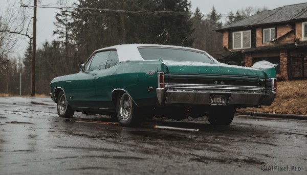 A serene snowy day featuring a motor vehicle