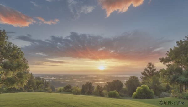 outdoors,sky,cloud,water,tree,blue sky,no humans,sunlight,cloudy sky,grass,nature,scenery,forest,sunset,sun,horizon,landscape,day,ocean,rock,bush,river,gradient sky,sunrise