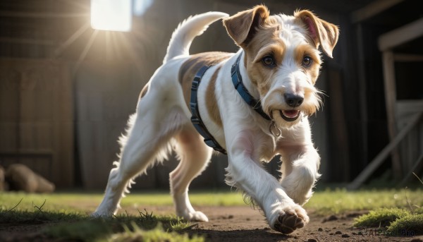 An iconic dog framed by a calm day