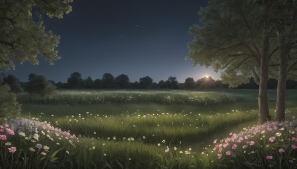 flower,outdoors,sky,cloud,tree,no humans,night,grass,star (sky),nature,night sky,scenery,pink flower,forest,starry sky,mountain,field,landscape,blue sky,sunlight,white flower,flower field,sunrise