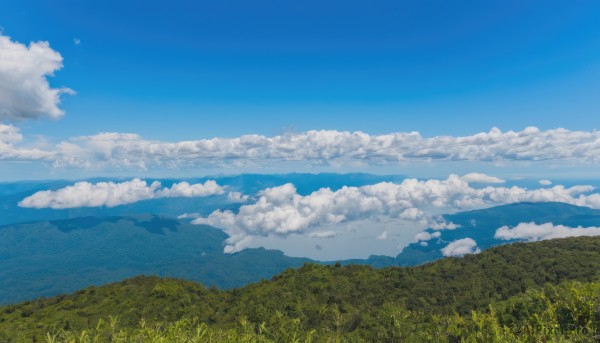 outdoors,sky,day,cloud,blue sky,no humans,bird,cloudy sky,grass,nature,scenery,mountain,horizon,field,landscape,mountainous horizon,hill,water,ocean,forest