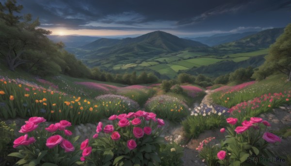 A landscape in a picturesque sunset day