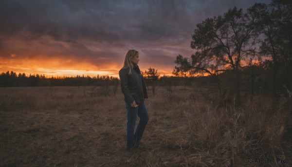 1girl,solo,long hair,brown hair,shirt,long sleeves,twintails,standing,jacket,outdoors,open clothes,sky,pants,cloud,from side,open jacket,tree,black jacket,profile,scar,cloudy sky,grass,denim,scenery,scar on face,sunset,jeans,scar across eye,wide shot,evening,blonde hair,nature,forest,field