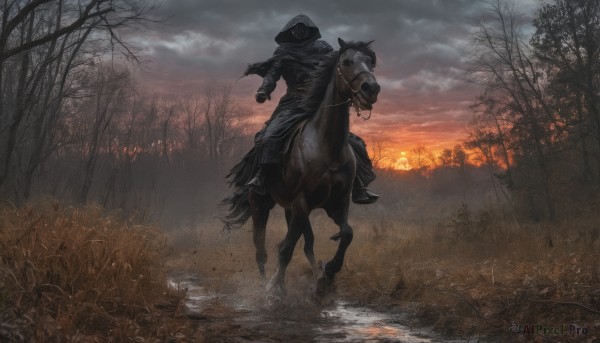 solo,1boy,weapon,male focus,boots,outdoors,sky,cloud,hood,water,from behind,cape,tree,animal,cloudy sky,grass,nature,scenery,cloak,1other,hood up,forest,sunset,riding,horse,bare tree,ambiguous gender,horseback riding,holding,pants,black footwear,holding weapon,fire,running,river