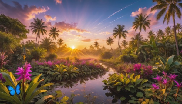 flower, outdoors, sky, cloud, water, tree, no humans, sunlight, bug, plant, butterfly, nature, scenery, reflection, sunset, palm tree, sun, dragonfly