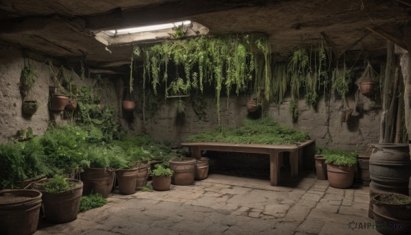 indoors,no humans,plant,scenery,potted plant,ruins,vines,moss,overgrown,outdoors,day,grass