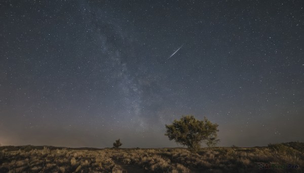 outdoors,sky,tree,no humans,night,grass,star (sky),nature,night sky,scenery,starry sky,shooting star,milky way,hat,witch hat,silhouette,dark,field,telescope