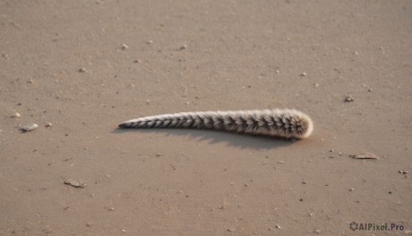 outdoors,no humans,shadow,feathers,sand,desert,dust,sword,scenery,rock,realistic,brown theme,still life