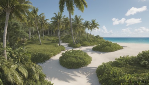 outdoors,sky,day,cloud,water,tree,blue sky,no humans,shadow,ocean,beach,cloudy sky,grass,plant,nature,scenery,sand,palm tree,horizon,bush,shade,summer,shore,forest,road