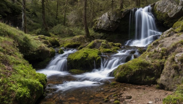 outdoors,water,tree,no humans,nature,scenery,forest,rock,river,waterfall,landscape,moss,stream,day,plant