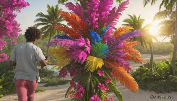 solo,short hair,brown hair,shirt,1boy,holding,white shirt,flower,short sleeves,male focus,outdoors,sky,shorts,day,pants,dark skin,from behind,tree,leaf,beach,sunlight,dark-skinned male,plant,t-shirt,scenery,pink flower,walking,palm tree,sun,facing away,bush,pink shorts,1girl,black hair,nature,sunset,road