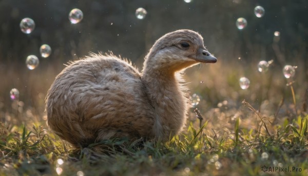A unique subject captured in a dynamic outdoors