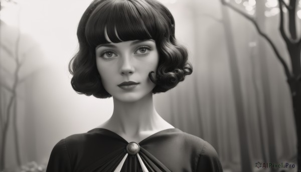 1girl,solo,looking at viewer,short hair,bangs,jewelry,closed mouth,monochrome,upper body,greyscale,outdoors,artist name,blunt bangs,blurry,tree,lips,dutch angle,eyelashes,blurry background,bob cut,brooch,portrait,nature,forest,freckles,curly hair,realistic,nose,dress