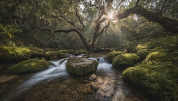 outdoors, day, water, tree, no humans, sunlight, nature, scenery, forest, light rays, rock, sunbeam, river, waterfall, moss, stream