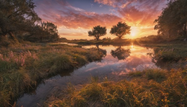 outdoors, sky, cloud, water, tree, dutch angle, no humans, cloudy sky, grass, nature, scenery, reflection, sunset, sun, river