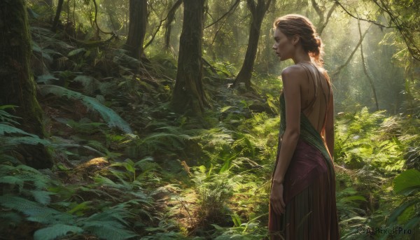 1girl,solo,long hair,breasts,brown hair,dress,bare shoulders,jewelry,standing,braid,outdoors,pointy ears,from behind,tree,profile,leaf,back,sunlight,plant,nature,scenery,forest,green dress,backless outfit,realistic,backless dress,short hair,sleeveless,day,from side,sleeveless dress,grass,moss