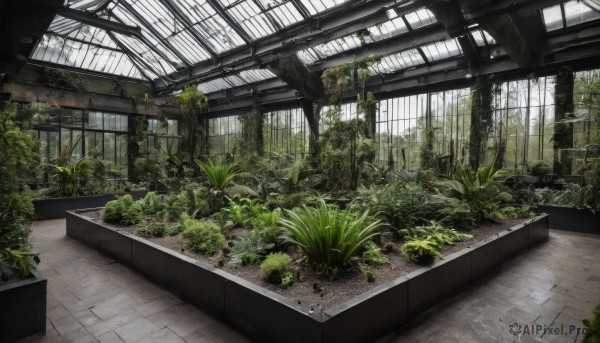 A striking day featuring the elegance of a indoors